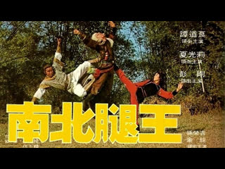 1980 - invincible kung fu legs / nan bei tui wang